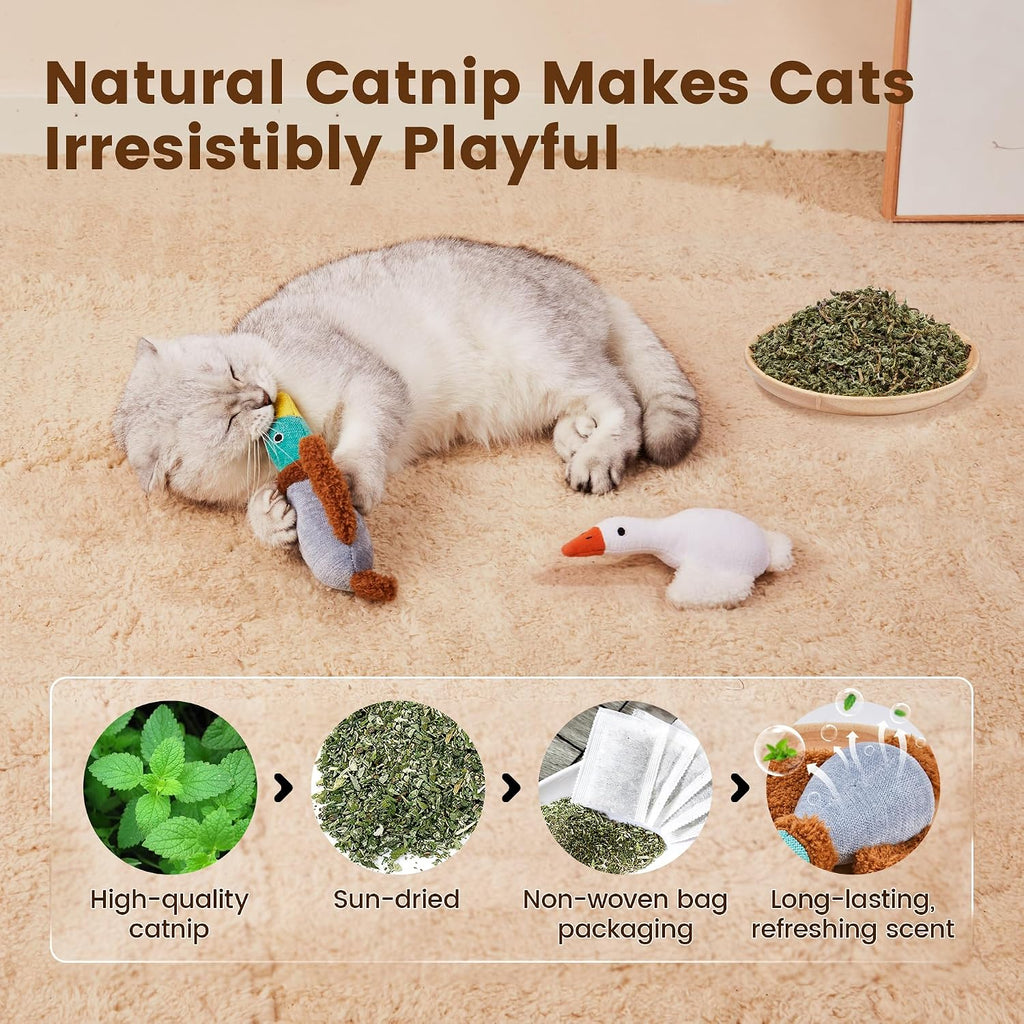 Potaroma Birds Cat Toys, 2 Pack Catnip Toys Soft Durable, Crinkle Sound Kicker Toys for Interactive Indoor Kitten Exercise 6.5 Inches for All Breeds